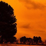Europa en modo “Calima”: Fotos del fenómeno que cubrió los cielos del continente de color anaranjado