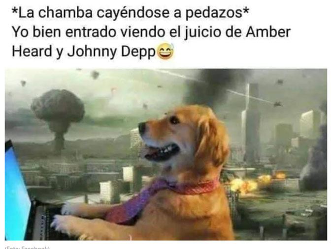 Johnny-depp-amber-heard-memes12