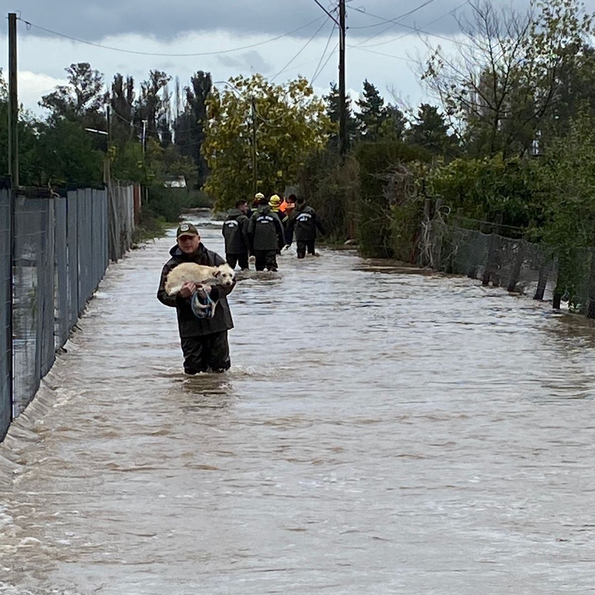 Temporal En El Centro Sur De Chile: Fotos De Los Estragos Que Ha ...