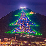 Fotos de los árboles de Navidad más bonitos y originales del planeta: No busques más