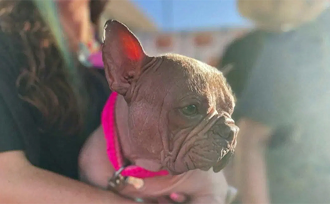 Petunia enjoying a treat