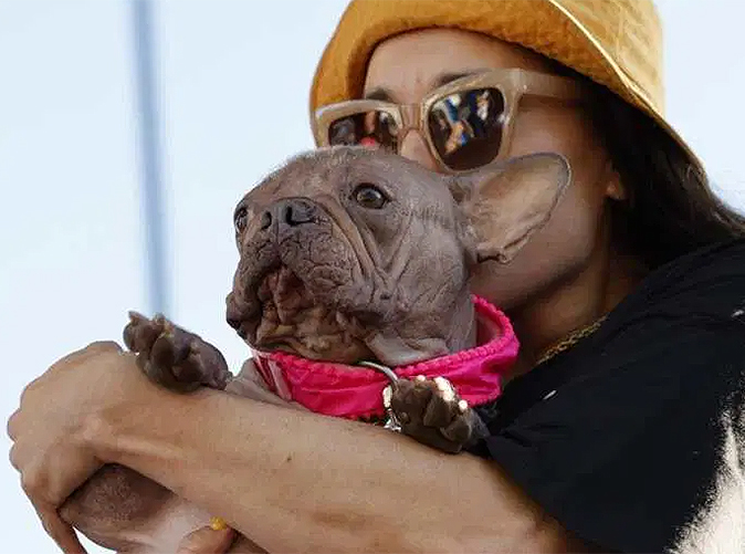 Petunia looking regal