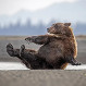 Animales salvajes en su versión más divertida: Publican las mejores fotos del año