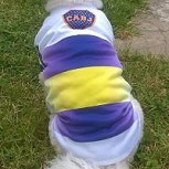 Hombre pinta a su perro con los colores de Boca y recibe fuerte ola de repudio