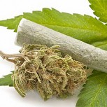 Hincha intentó entrar al estadio con marihuana escondida en el pañal de su bebé