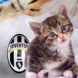 Semifinales de la Champions League: Los mejores memes que dejó el sorteo