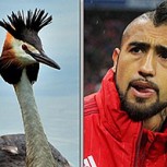 Memes se burlan del piscinazo de Vidal: No olvidan vergonzosa simulación