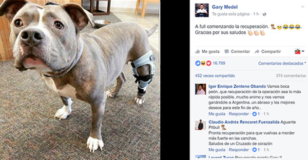 Gary Medel recuperación