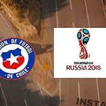 Debacle en Chile y Argentina y más: Los burlescos memes que dejaron las Clasificatorias