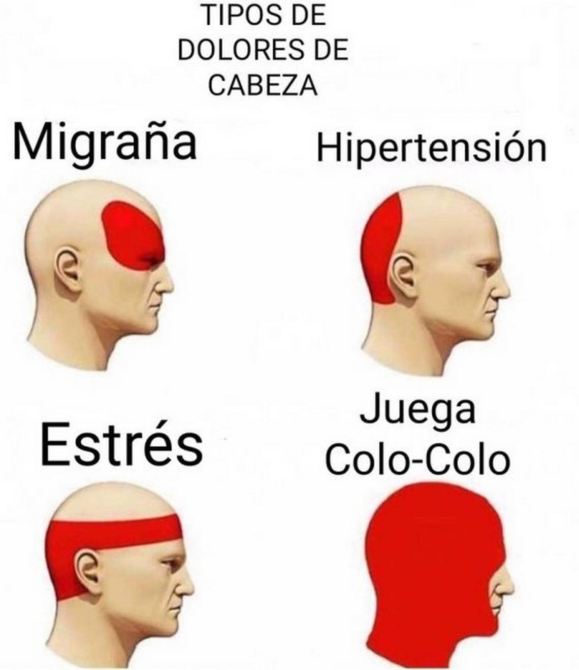 copa-libertadores-colo-colo-memes7