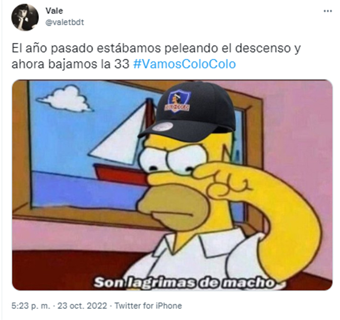 colo-colo-campeon-memes7