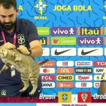 Hinchas adjudican eliminación de Brasil a la “maldición del gato”: Hilarante teoría en las redes