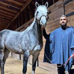 Arturo Vidal pone a la venta su criadero de caballos en una cifra estratosférica