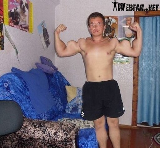 machos alfas