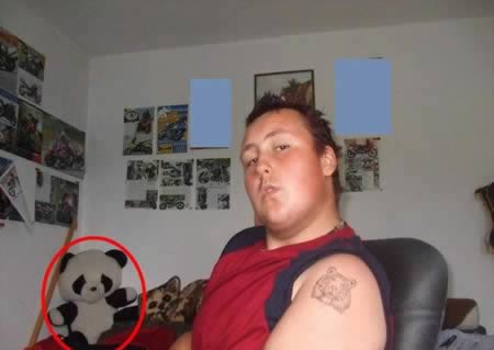 machos alfas