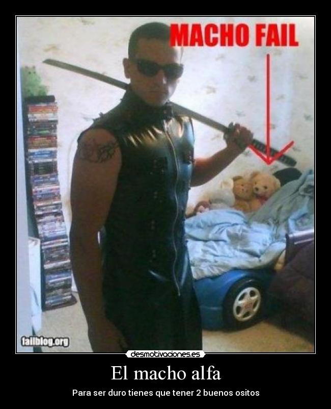 machos alfas