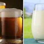 Científicos de Harvard afirman que la cerveza es más sana que la leche: Increíble hallazgo