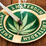 Marihuana y trufas mágicas: Así es el transparente negocio alucinógeno en Ámsterdam