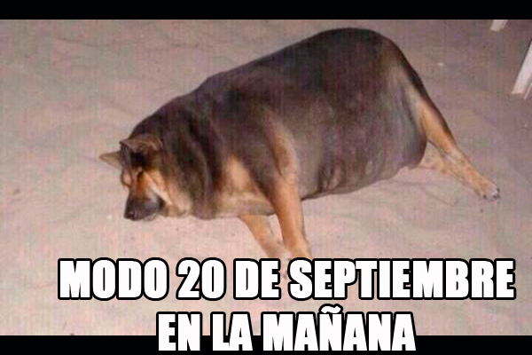 fiestas-patrias-9
