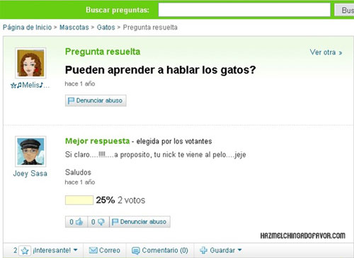 yahoo 3