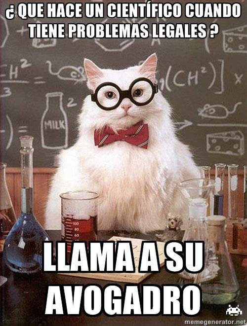 gato cientifico 14