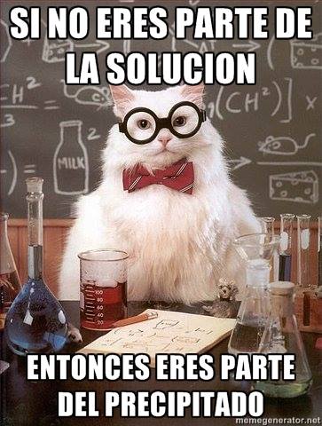 gato cientifico 15