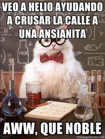 gato cientifico 17