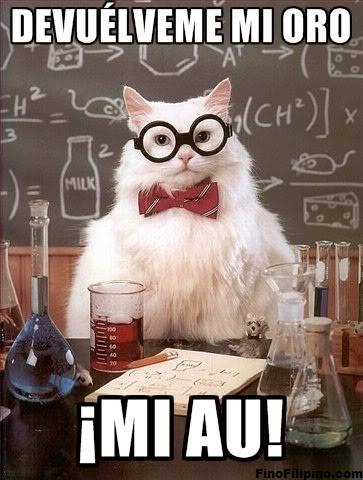 gato cientifico 18