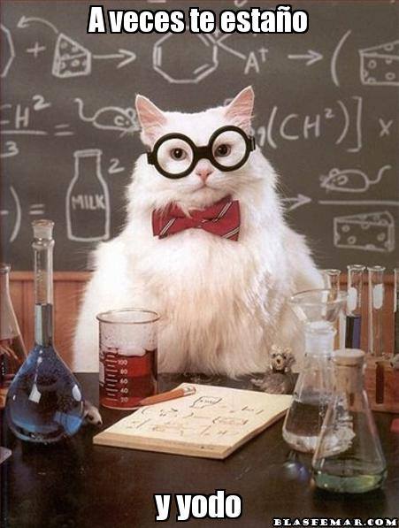 gato cientifico 19