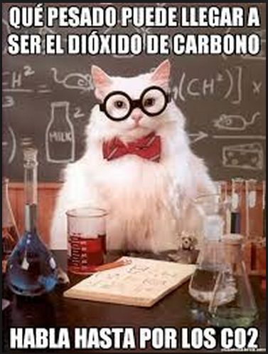gato cientifico 4