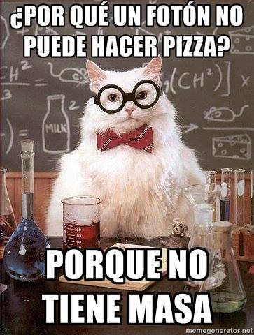 gato cientifico 5