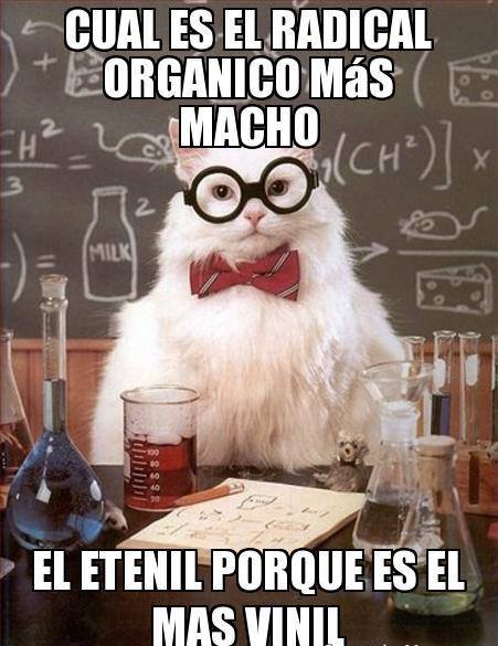 gato cientifico 8