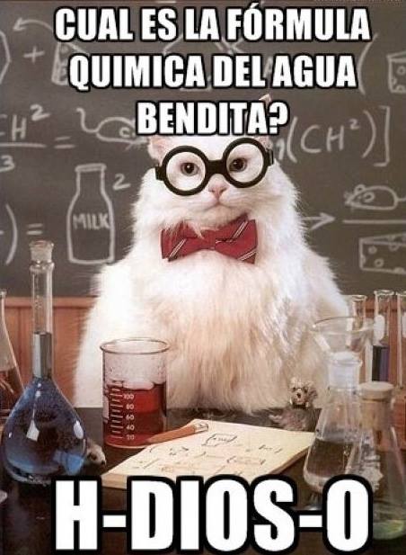 java argument final as de memes Les gato un este adorable los compendio mejores dejamos de