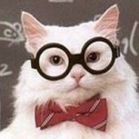 Los memes del Gato Químico que arrancan carcajadas con su humor científico