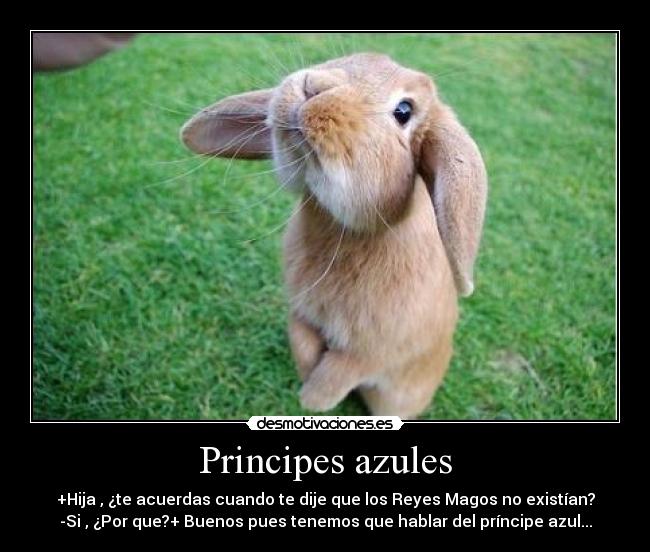principe-azul 11