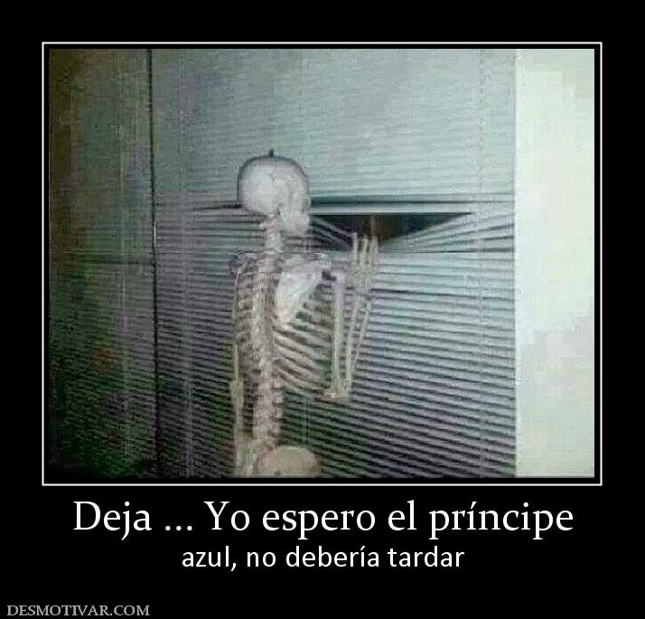principe-azul 17