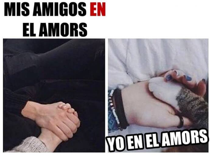 yo en el amor 10