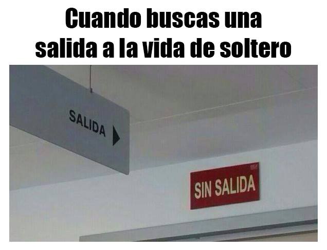 Yo En El Amor Los Memes Que Se Rien En Primera Persona De La Fatidica Solteria Guioteca