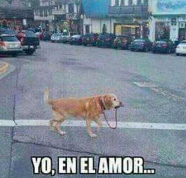 yo en el amor 4