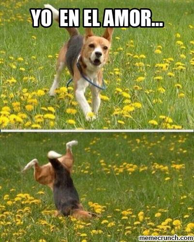 yo en el amor 6