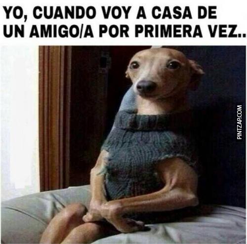 memes 2015 9