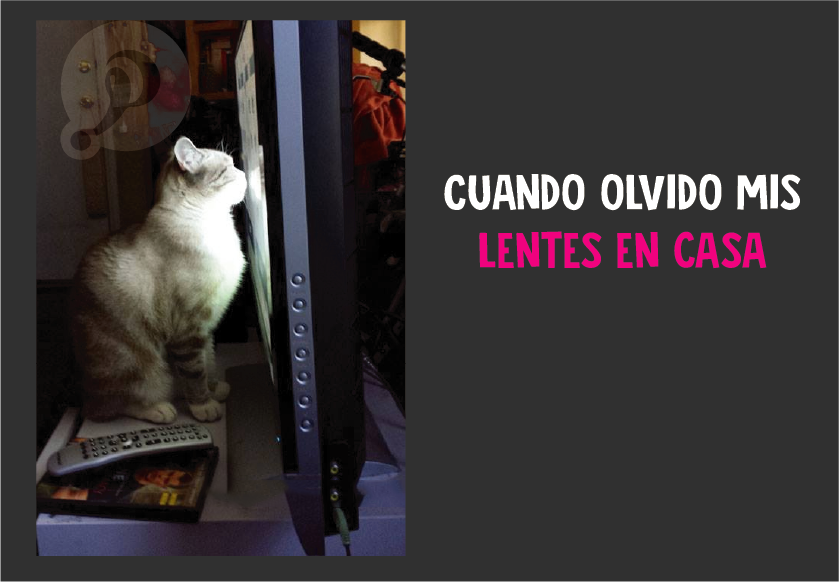 personas ciegas 10