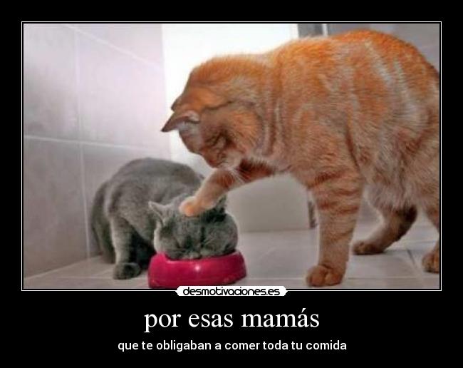 madres-enojadas 10