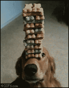 el chivo amores perros