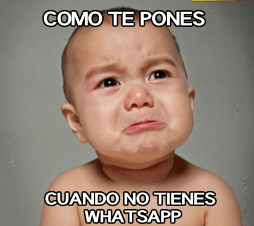 Memes para Grupos de WhatsApp ➤➤ ✓ ¡¡Los mejores memes de risa