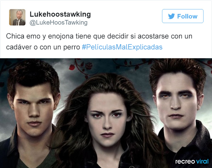 sinopsis de peliculas 14