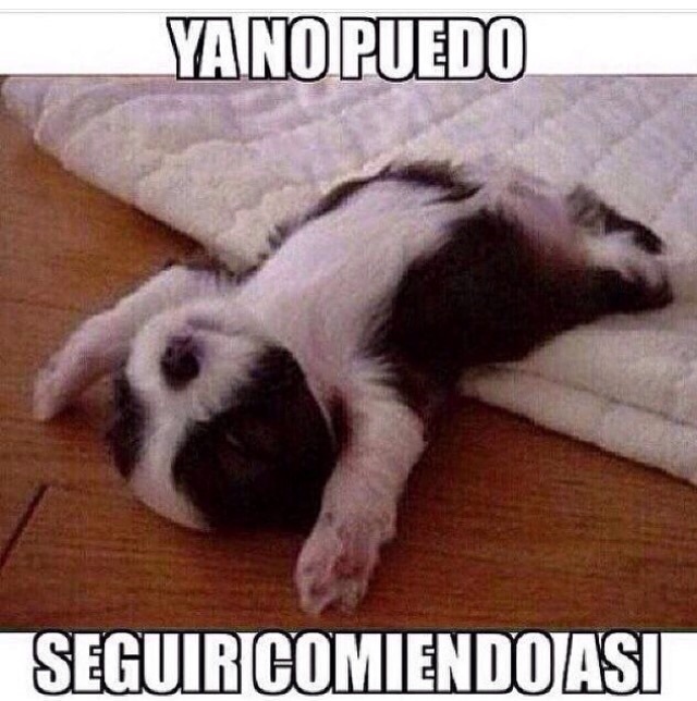 personas que comieron mucho 12
