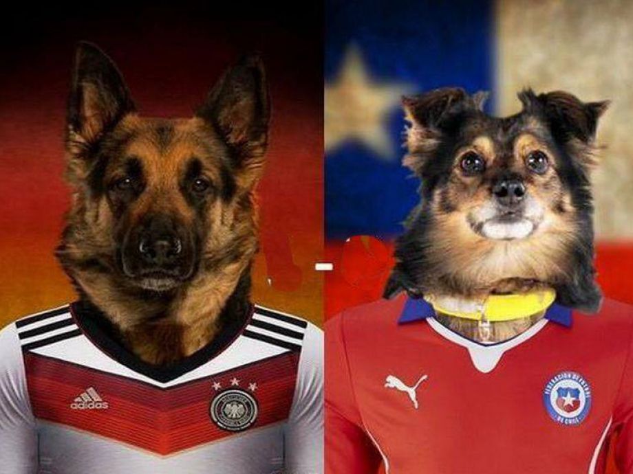 Copa Confederaciones: Los mejores memes de la Roja que ...