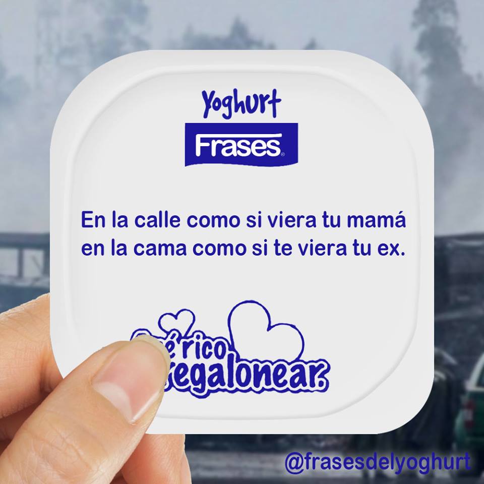 Frases del Yoghurt, divertidos proverbios que alegran el día con mucho humor  - Guioteca