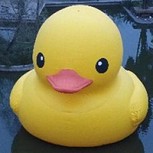 Festival de humillantes memes por vergonzoso fin del pato de hule en Quinta Normal